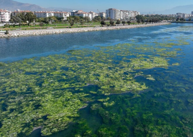 Körfezdeki kirliliğe karşı Bakanlıktan ‘İzmir için nefes’ projesi